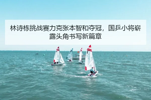 lin-shi-dong-tiao-zhan-sai-li-ke-zhang-ben-zhi-he-duo-guan-guo-ping-xiao-jiang-zhan-lu-tou-jiao-shu-xie-xin-pian-zhang-2-935.jpg